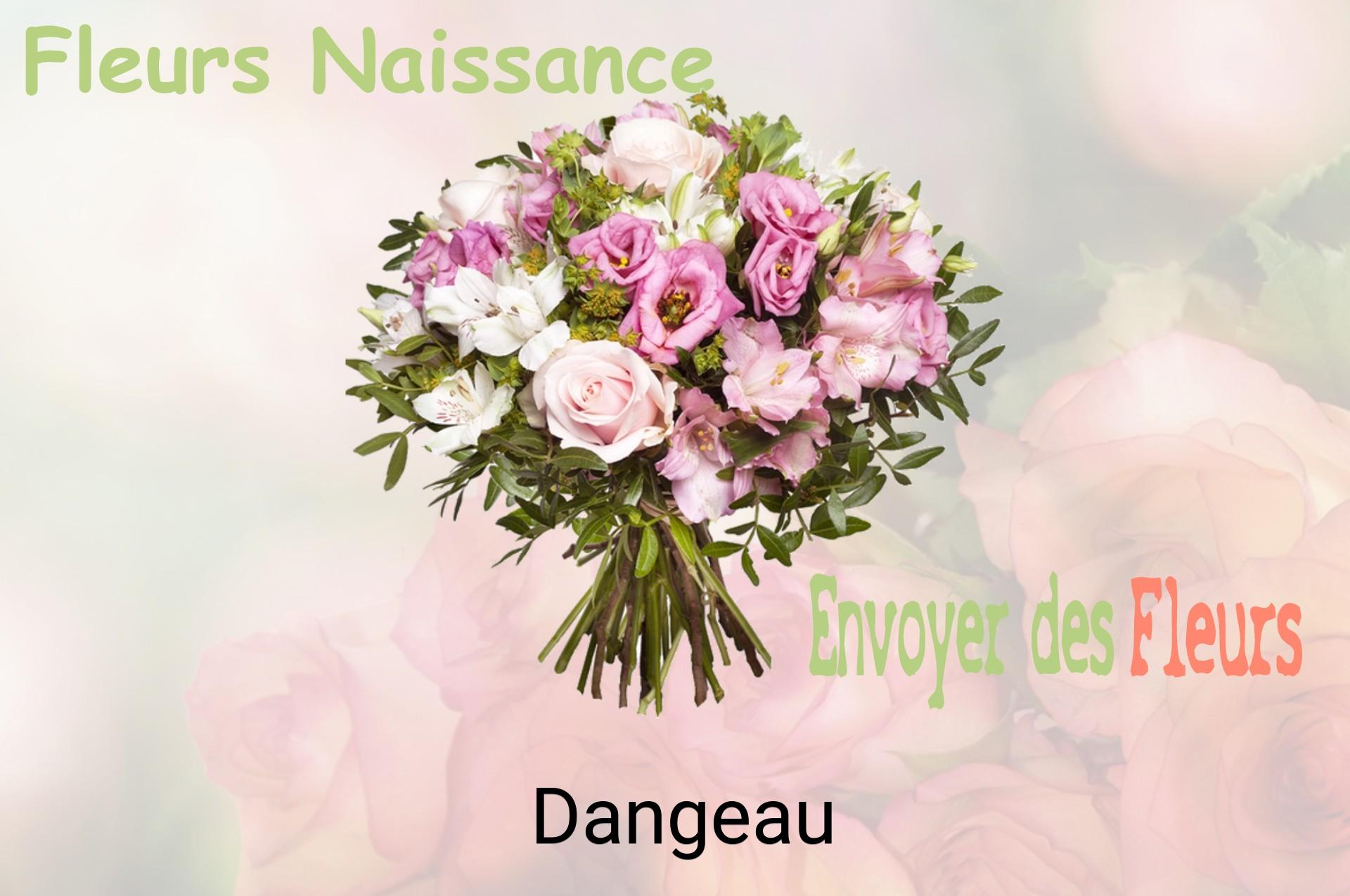 Bouquet de fleurs de naissance livré à Dangeau
